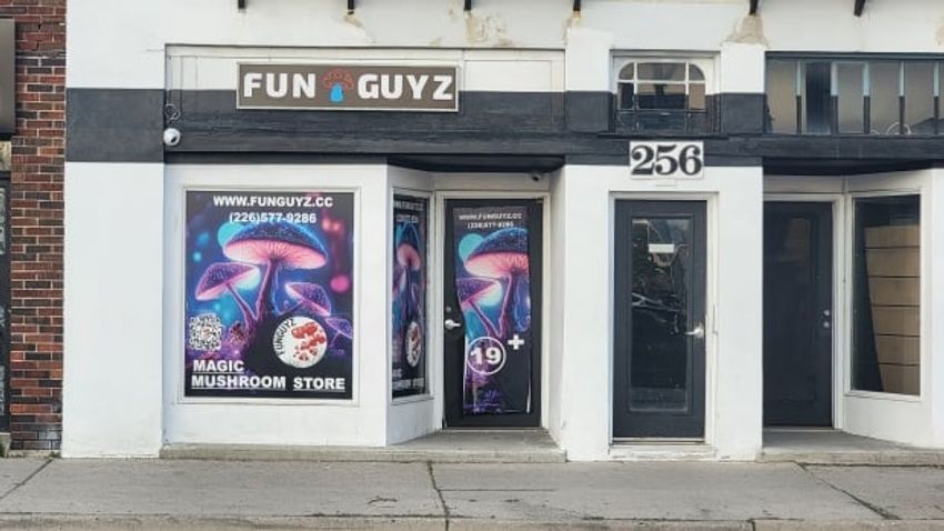  London, Ont.’s first magic mushroom store could test the limits of authorities’ tolerance