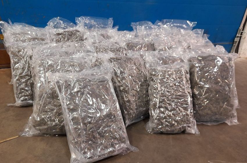  Two arrested as Gardaí €750,000 worth of cannabis in north Dublin