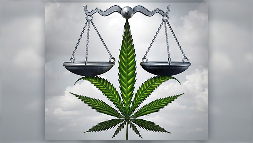  NORML Legal Committee Submits Amicus Brief in Federal Case Challenging Government’s Gun Ban for Medical Cannabis Consumers