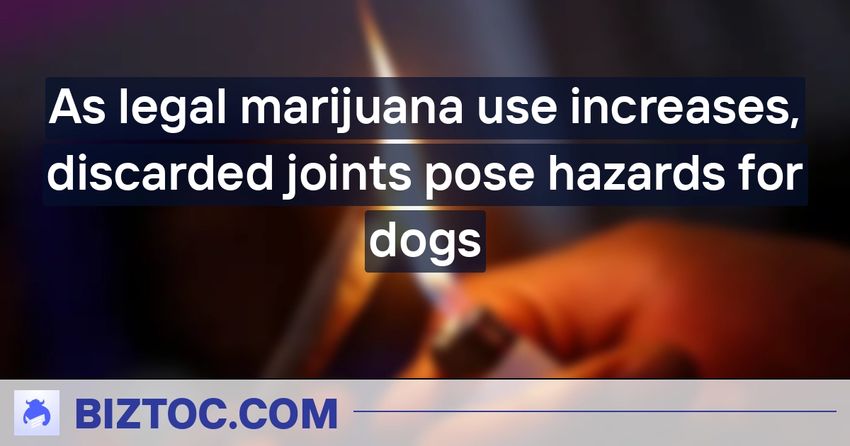  As legal marijuana use increases, discarded joints pose hazards for dogs