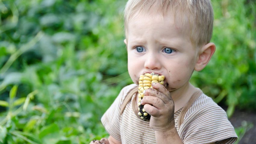  The Gross Things Your Kids Eat That Are Dangerous (and the Ones That Are Just Gross)