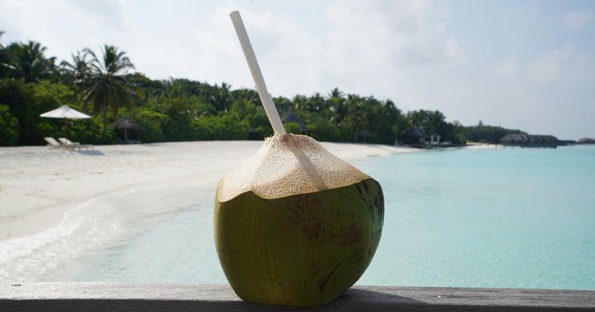  Is Coconut Water Actually Good For You? We Asked an RD