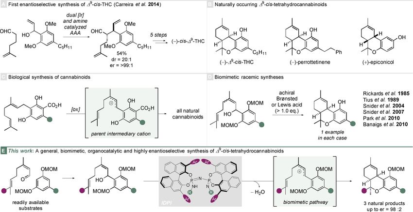  Researchers develop new method to synthesize cannabis plant compound