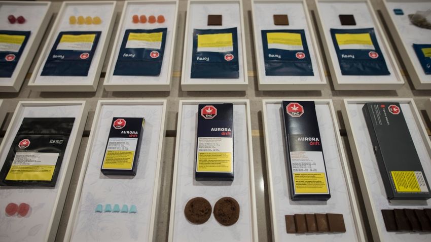  Canada’s Competition Bureau wants THC limits for edibles changed