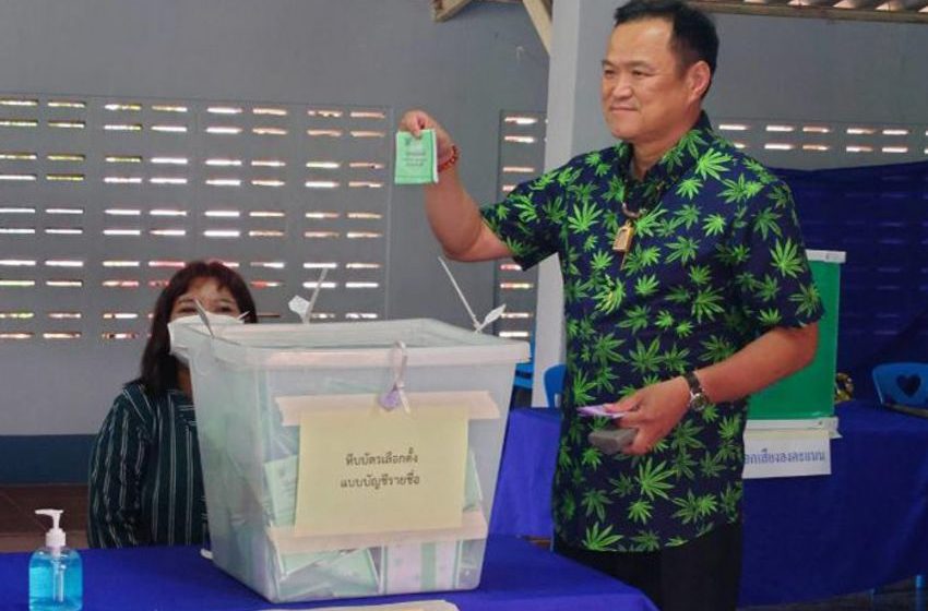  Anutin casts vote in marijuana-print shirt