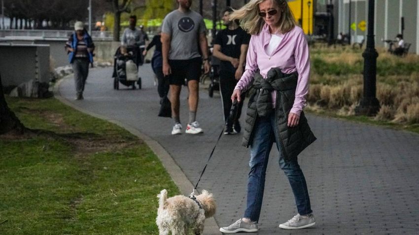  Veterinarians warning New Yorkers to stop throwing the ends of their doobies on the street because their Scoobies keep eating roaches off the sidewalk and getting marijuana poisoning [Repeat]