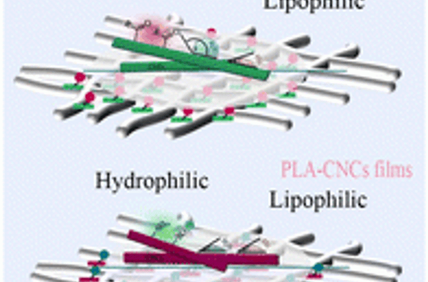  Preparation of nanocellulose by a biological method from hemp stalk in contrast to the chemical method and its application on the electrospun composite film