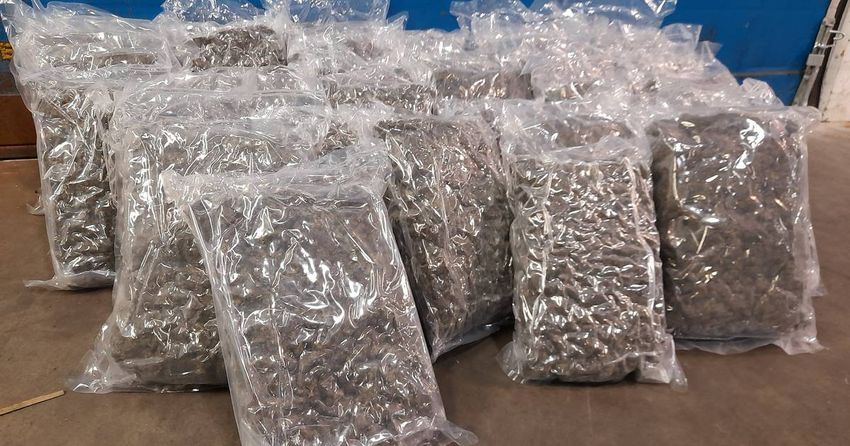  Gardaí and customs seize cannabis worth €750,000