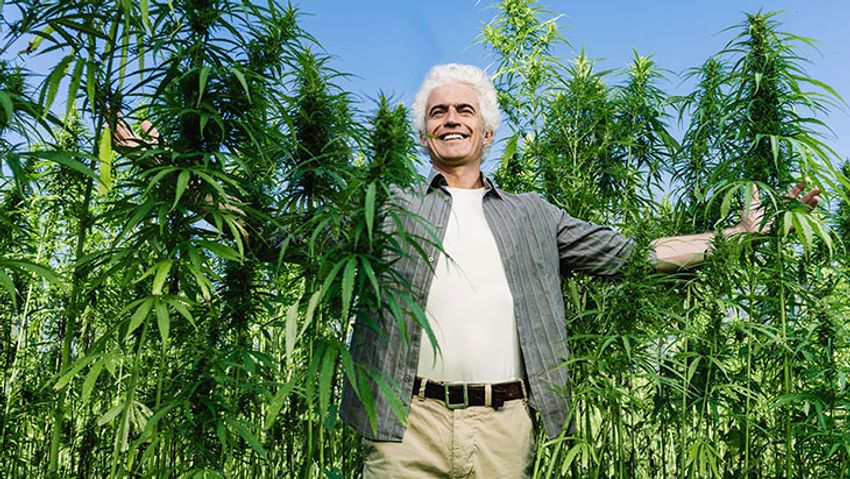  Survey: Older Adults Hold Positive Attitudes Toward Cannabis