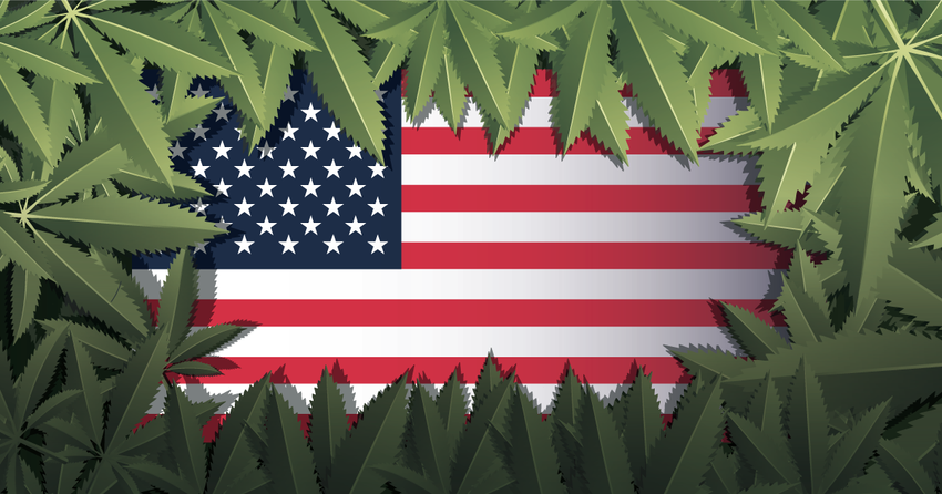  The Cannabis Legalization Economy