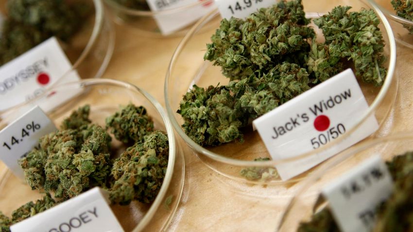  Minnesota Officially Legalizes Recreational Marijuana Use