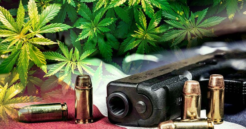  Second Amendment Under Fire: ATF Says Pot Users Cannot Legally Possess Firearms