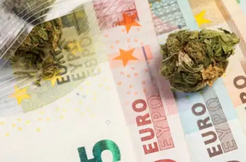  Green Horizons: The Untapped Potential of Europe’s Cannabis Industry