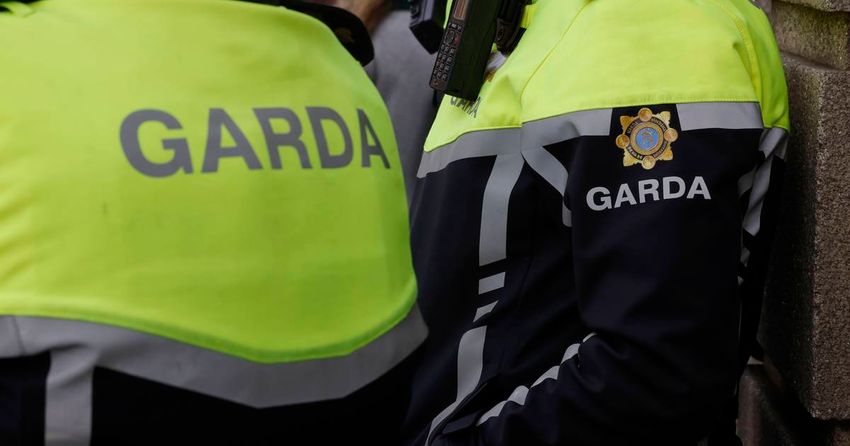  Man (20s) arrested in Galway following seizure of cannabis and cocaine