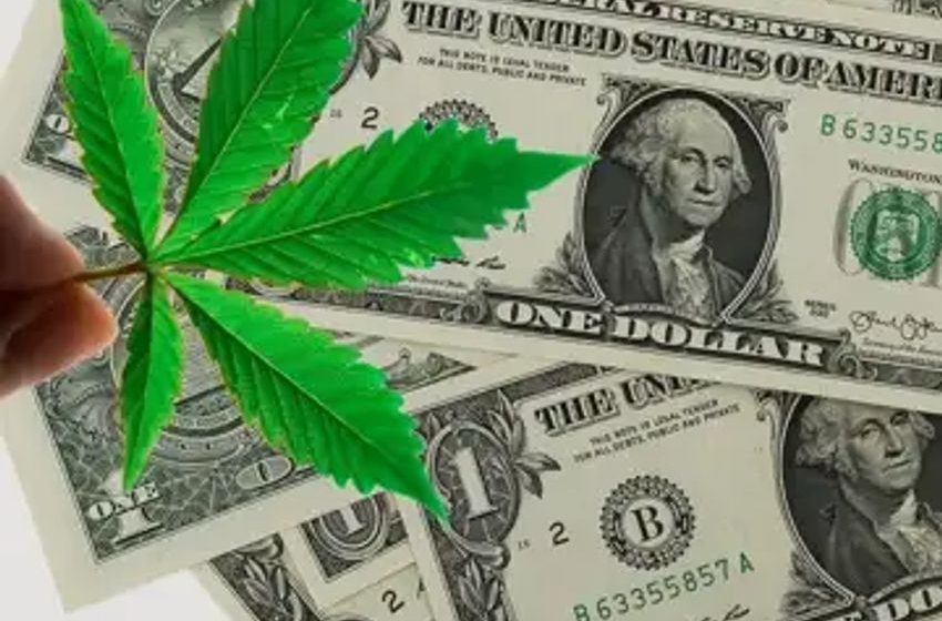  These Two Cannabis REITs Declared Dividends For Q2 2023