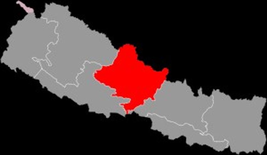  Gandaki province to conduct feasibility study for cannabis cultivation