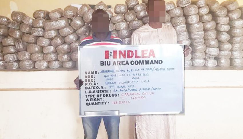  NDLEA seizes 390kg illicit drugs in four states