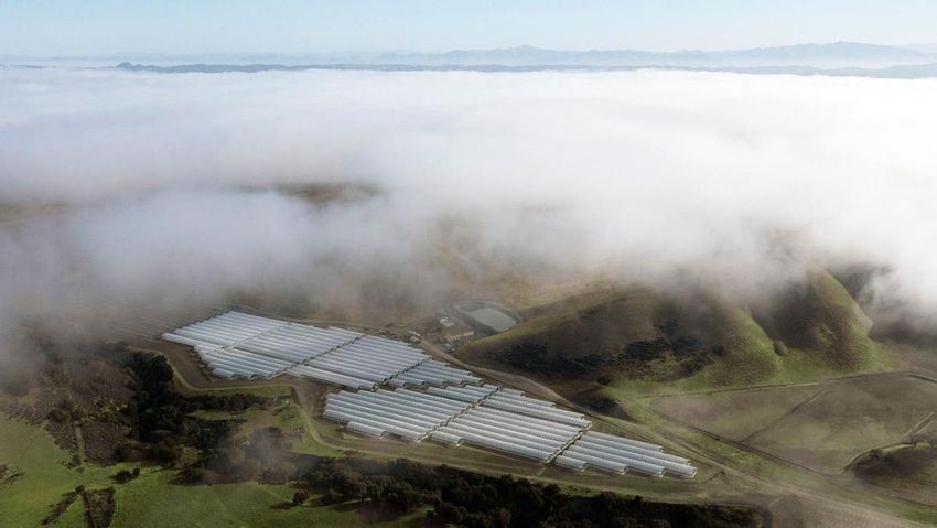  Venterra Farms Keeps Its 5th-Generation Family Legacy Alive With Cannabis