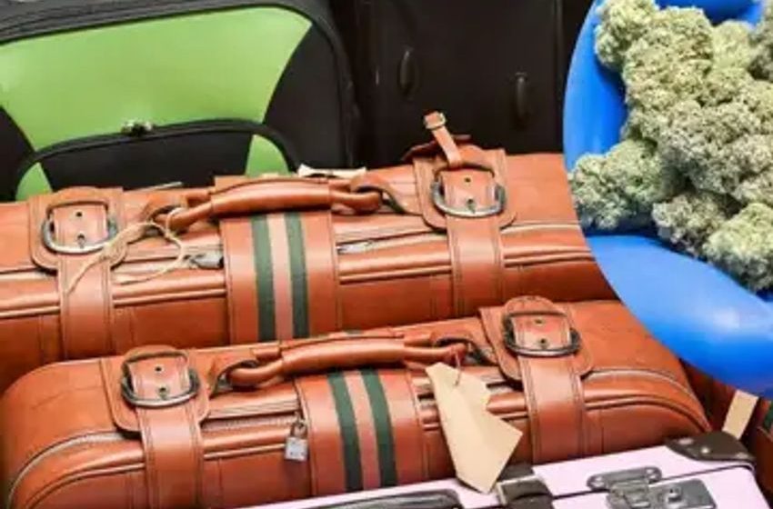  United Airlines employees accused of years-long scheme selling weed stolen out of customers’ checked baggage