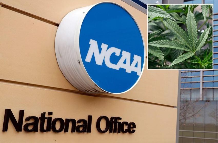  NCAA committee recommends dropping marijuana from banned drug list for athletes