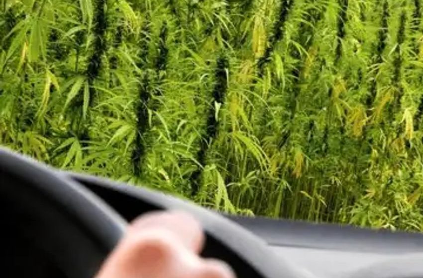  Interstate Hemp: Tapping Into Potential Of Nationwide Shipping And Strategic Partnerships For Market Growth