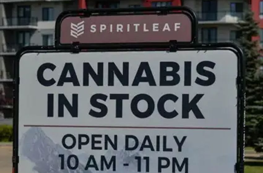  Bet You’ve Heard This One Before…Now Is The Time To Invest In Cannabis