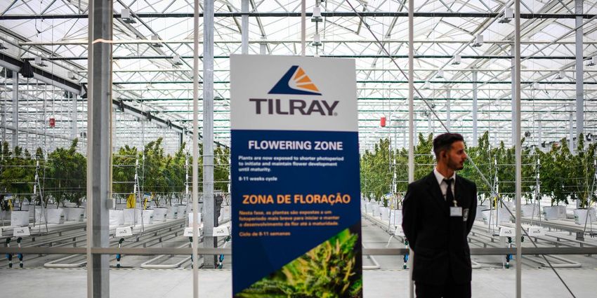 Cannabis Watch: As Tilray buys Hexo, former exec sees more consolidation ahead in Canadian cannabis