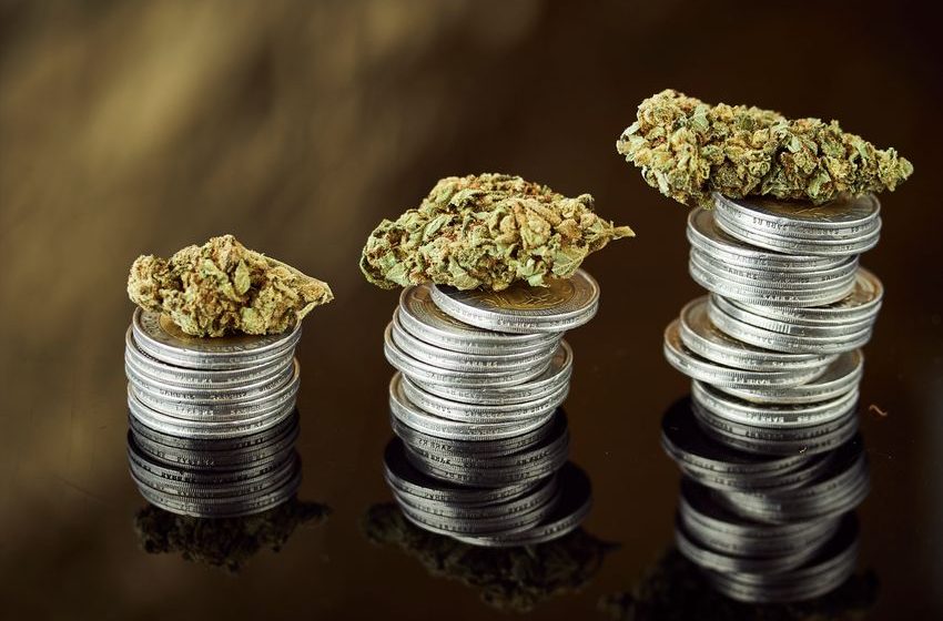  Better Growth Stock: Curaleaf Holdings vs. Green Thumb Industries