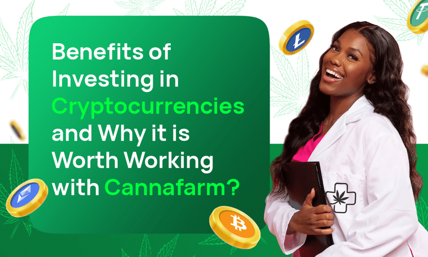  Cannafarm: An easy-to-use but reliable source of passive income