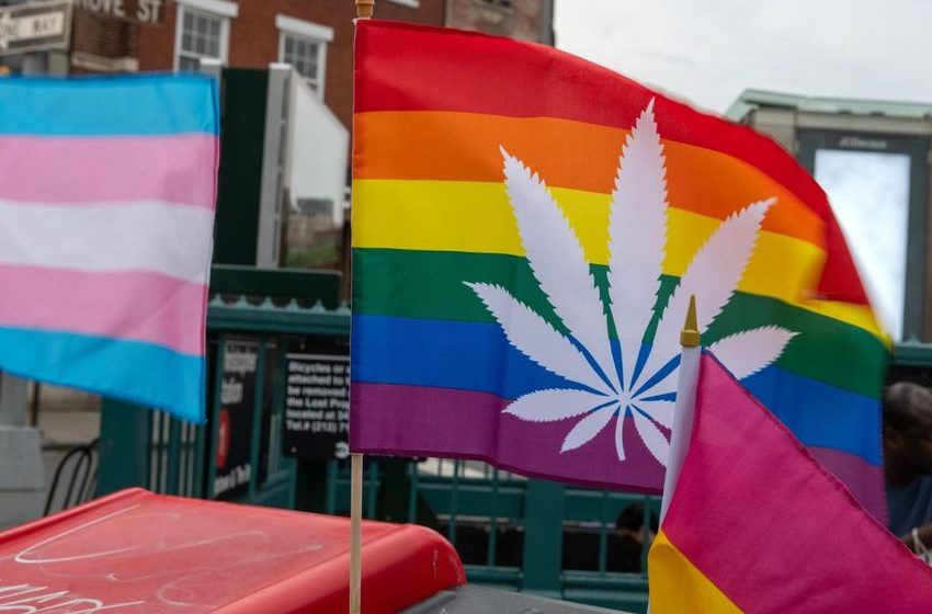  LGBTQ+ Owned Cannabis Brands That Deserve Support During Pride Month