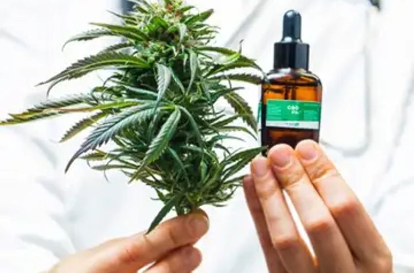  CBD & THC Combined Helps Treat Tourette Syndrome Symptoms, New Study Finds