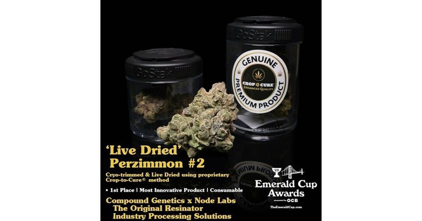  Industry Processing Solutions Wins Coveted 2023 Emerald Cup Innovative Consumable Product Award for its Live Dried Perzimmon #2