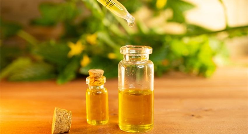  Hemp Oil vs. CBD Oils: Differences and Similarities