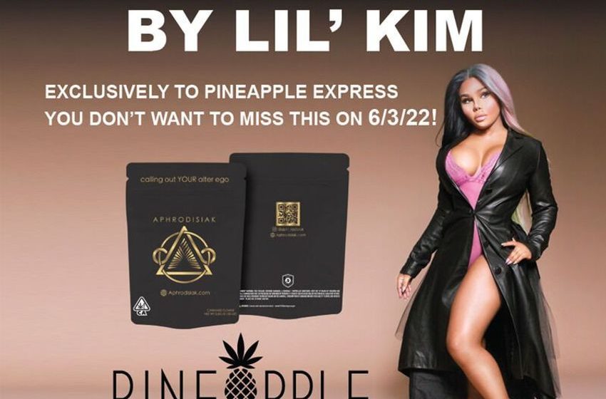  Rapper-Approved Cannabis Brands – The ‘Aphrodisiak’ Cannabis Line Was Co-Crafted By Lil Kim (TrendHunter.com)