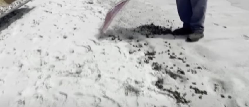  Sea Weed: Marijuana Washes Up On Florida Beach