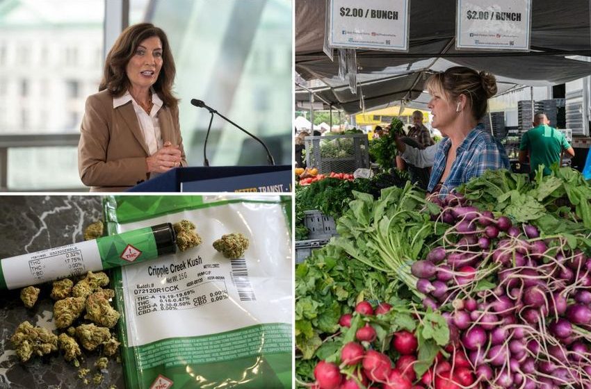  Hochul pumps brakes on legal weed sales at New York farmers’ markets