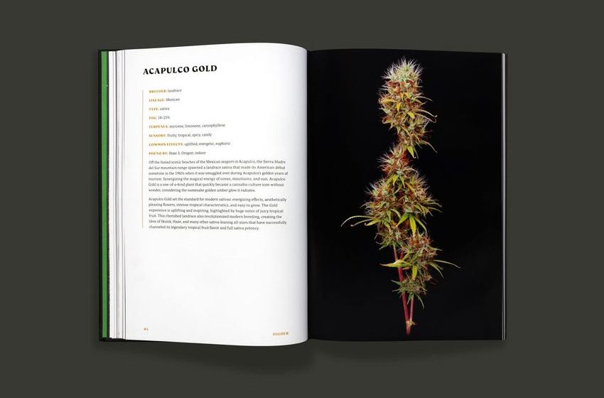  Cannabis Is Ready For Its Closeup: ‘Coffee Table’ Books Are Giving Weed Its ‘Glamour Moment’