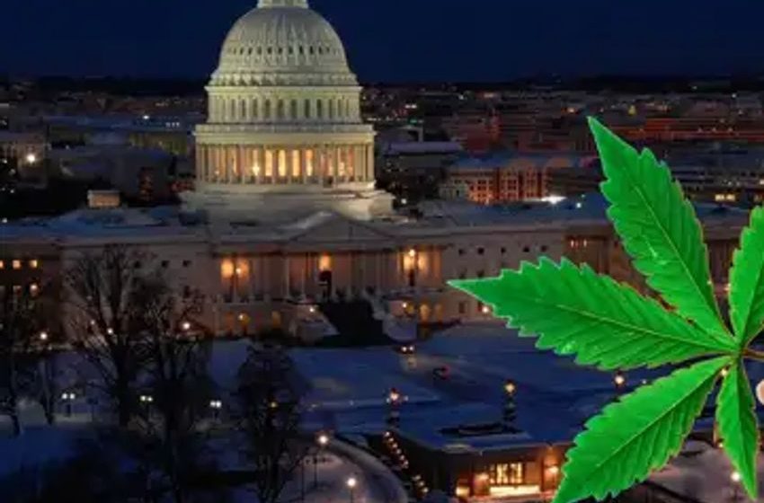  Secret Service Finds Cannabis In White House, Following Recent Report Of Cocaine Discovery