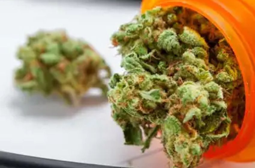  Florida bans medical marijuana in all state-licensed rehabs and sober living houses