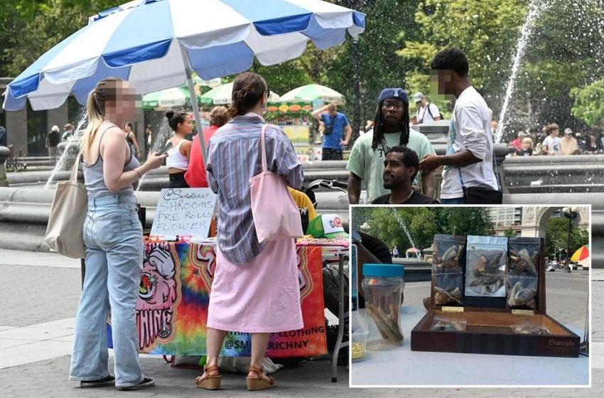  Mushrooms grow on our decaying city, thanks to Democrats