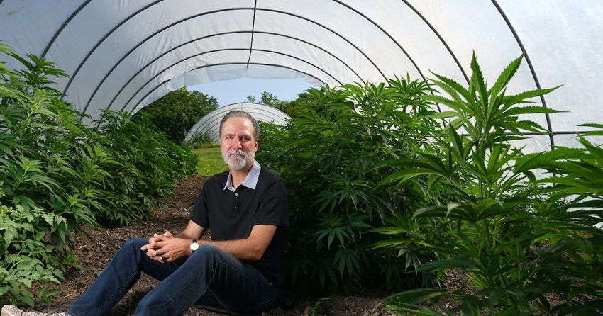  Minnesota’s marijuana market could be a boon for other industries, jobs