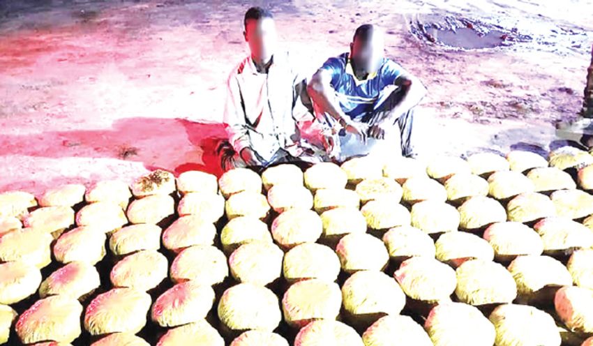  Soldiers arrest Beninese, one other with truckload of cannabis