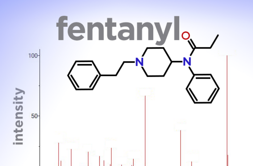  Would drug legalization increase overdose fatalities?