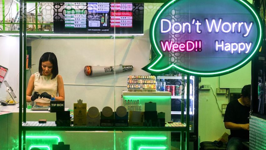  ‘Sorry, we’re stoned’: What can Australia learn from Thailand a year after weed became legal?