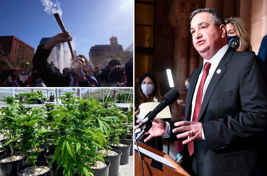  NY Republicans move to ban public pot smoking over its ‘pungent odor’