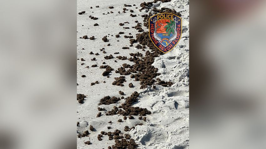  Large amount of marijuana washes up on Florida beach