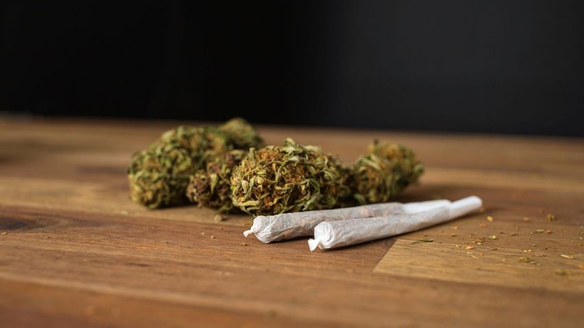  Marijuana products voluntarily recalled due to possible aspergillus contamination