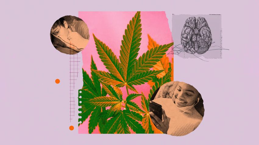  Cannabis may be harmful to mental health. Experts explain why.