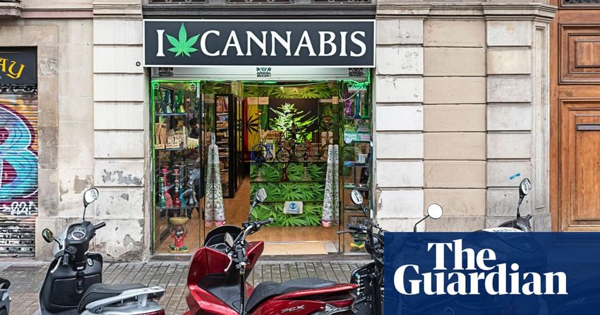  Barcelona traders demand action over rise of CBD shops ‘posing as florists’