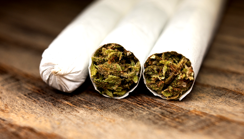  Scientists Have Figured Out How To Roll The Perfect Joint